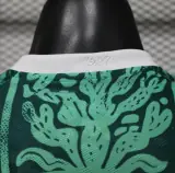 Mexico Special Edition Jersey 2026/27